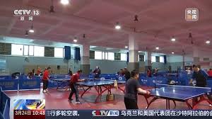 必一运动bsport体育 乒乓球台的价位分析- 如何找到性价比最高的台面？